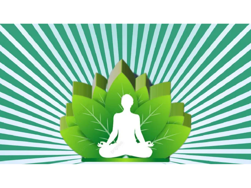 Nature Connection, Ecomindfulness